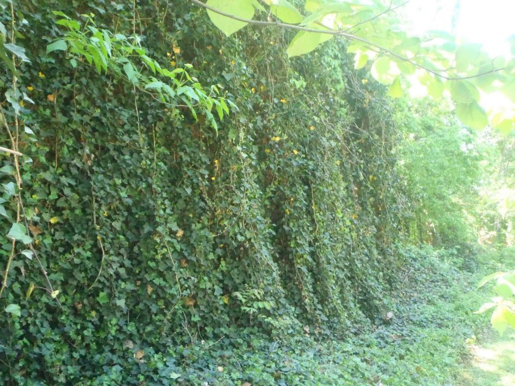 Dockery Farms Birthplace of the Blues, Highway 8, Sunflower County
