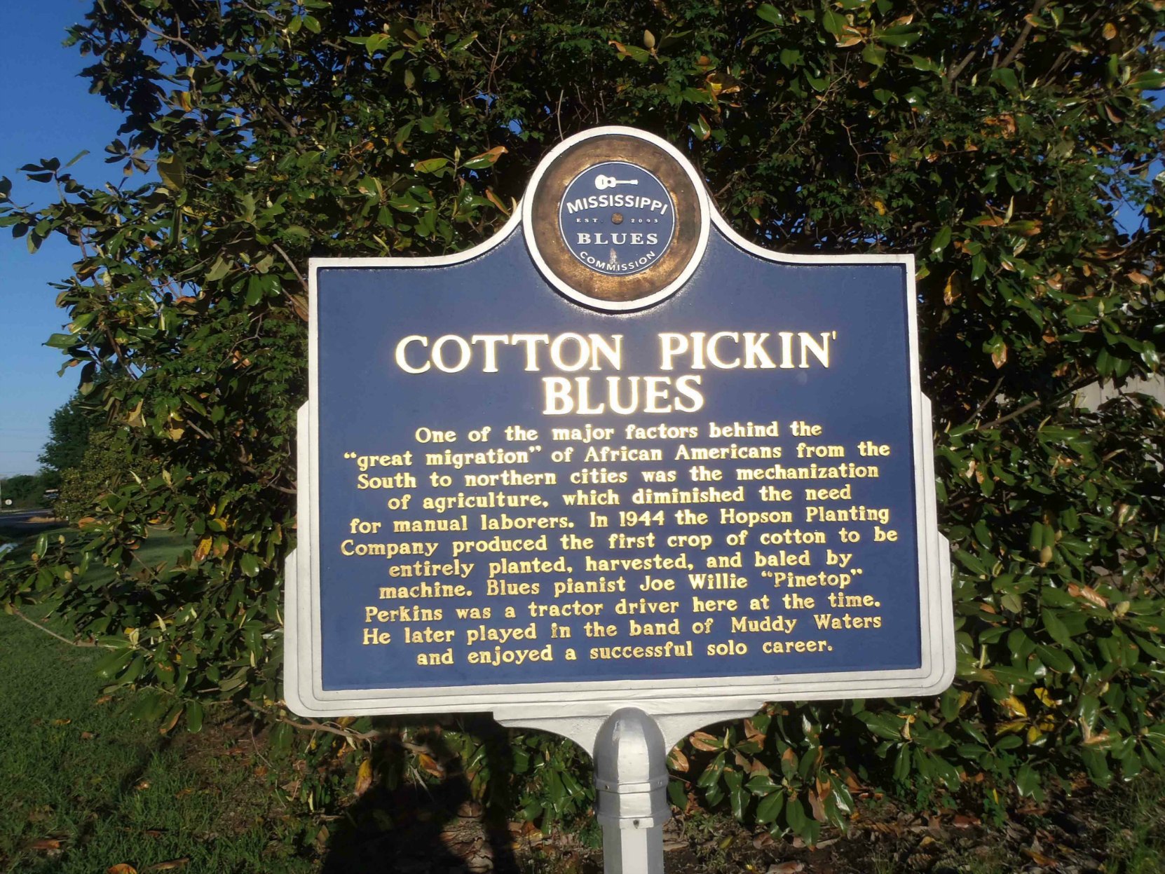 Mississippi Blues Trail marker for Cotton Pickin' Blues, Hopson Farm, Highway 49, Coahoma County, Mississippi.