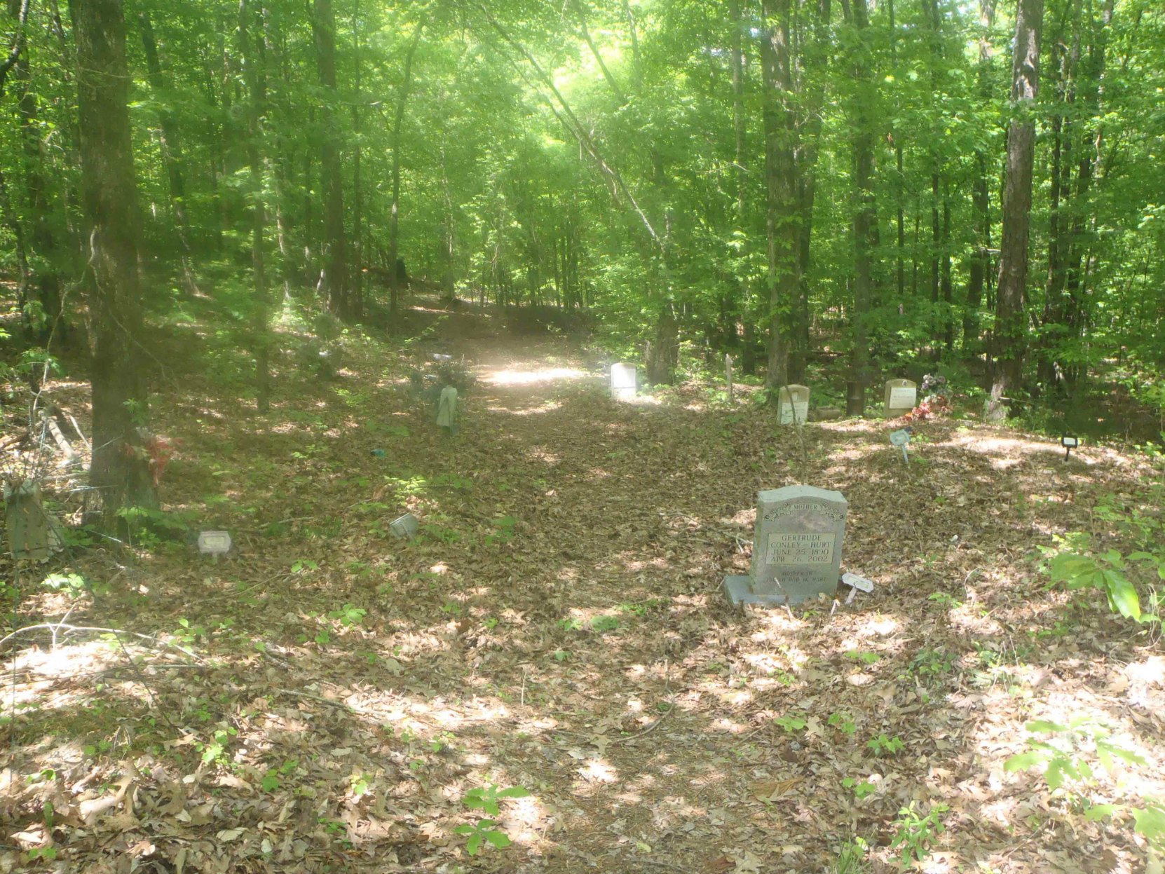 Trail to Mississippi John Hurt's grave, Avalon, Mississippi
