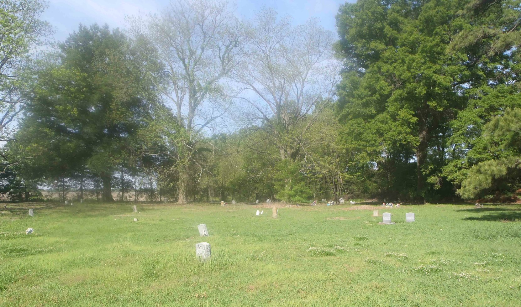 Little Zion Missionary Baptist Church cemetery, near Money, Leflore County, Mississippi, site of one of three reputed Robert Johnson grave sites. The Robert Johnson grave is beneath the two large pecan trees in the middle of this photo.