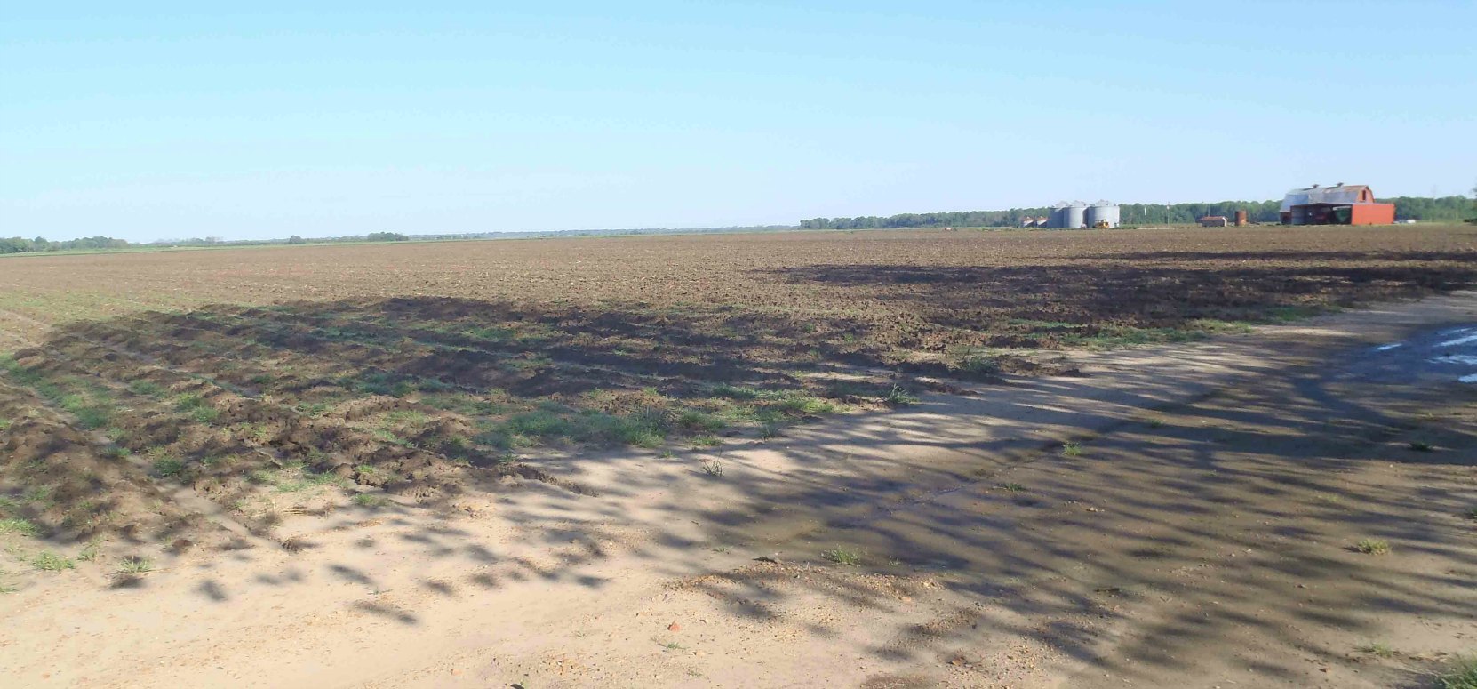 View of the Stovall farms fields from the Muddy Waters House site. This is typical of the geography of Coahoma County around Clarksdale, Mississippi.