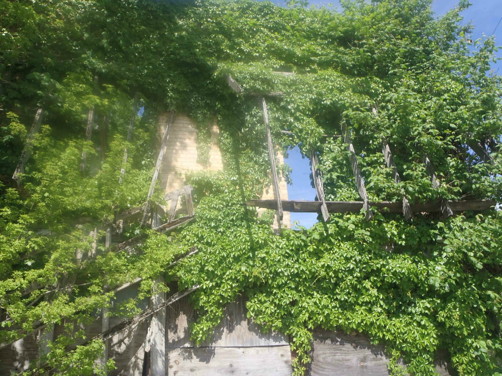 The ruins of the former Bryant's Grocery building. This was once the verandah on the front of the building.