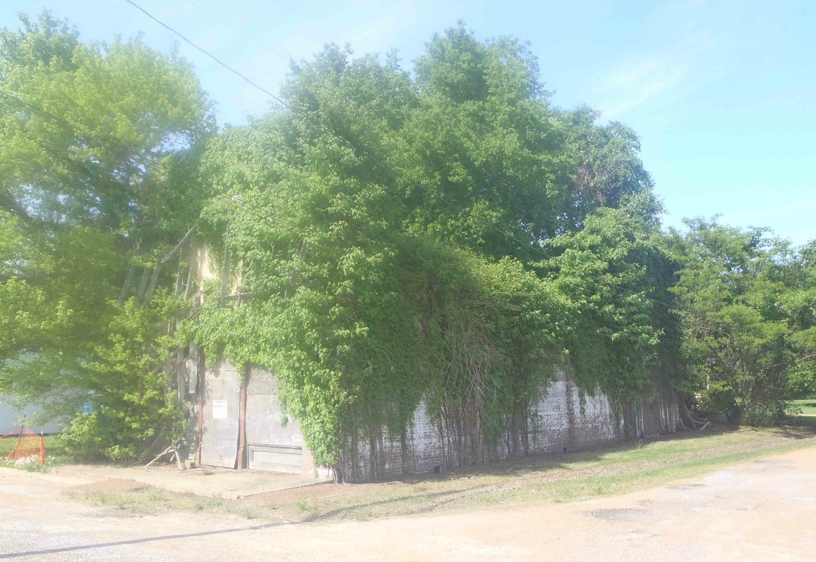 The ruins of Bryant's Grocery, Money, Leflore County, Mississippi. This was once the front and side of the building.
