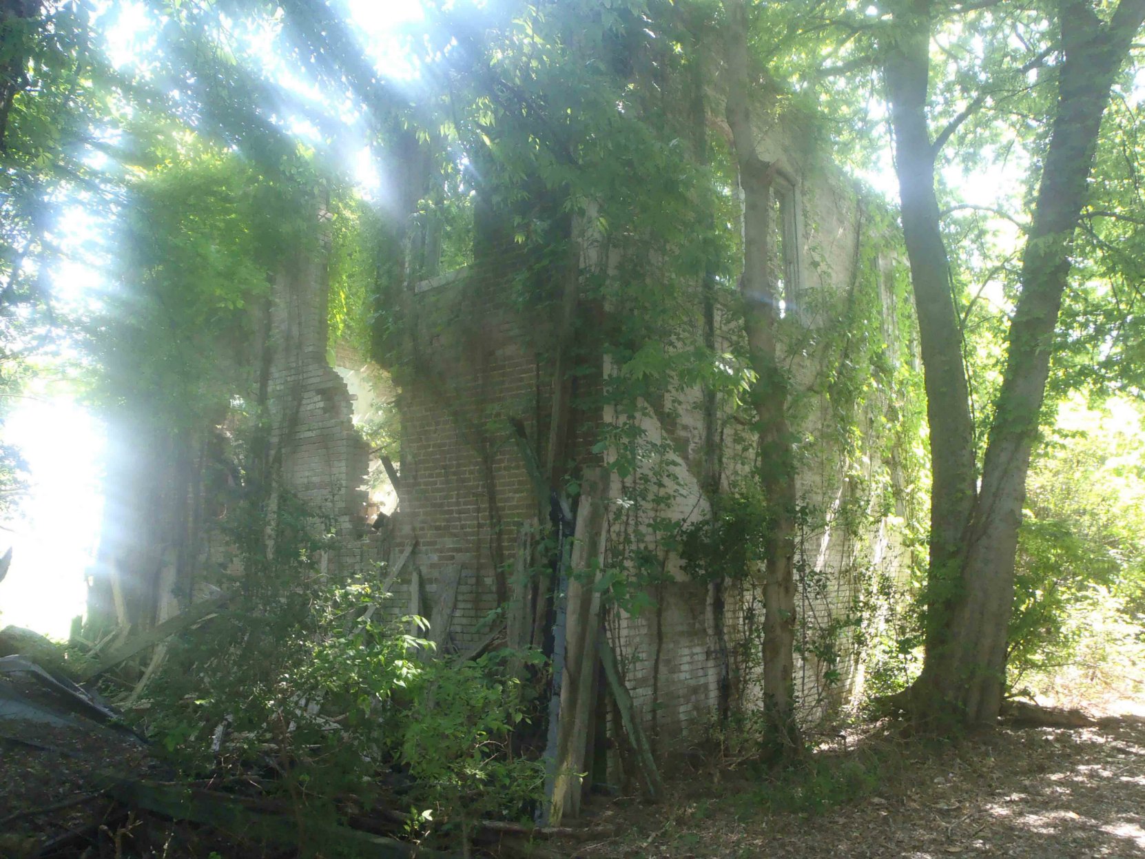 The ruins of Bryant's Grocery, Money, Leflore County, Mississippi. This was once the rear side of the building.