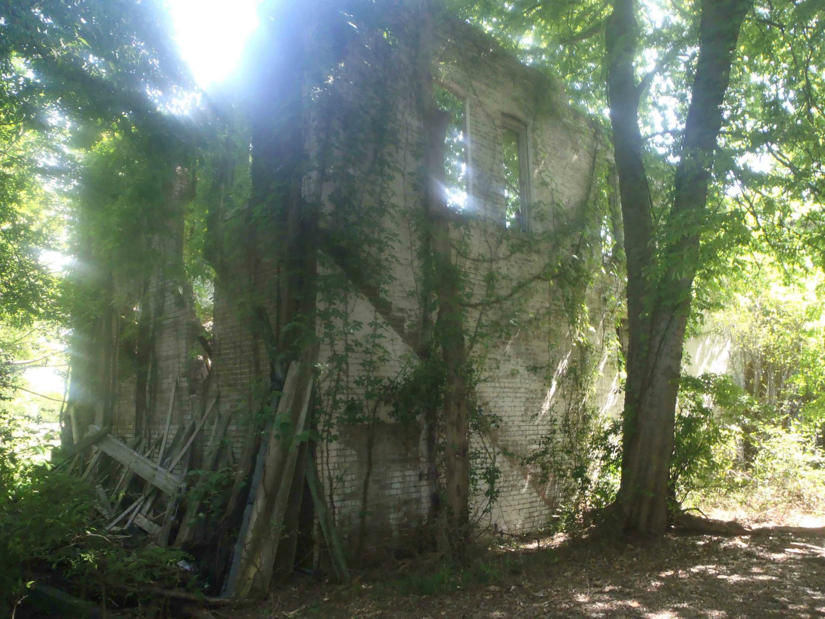 The ruins of Bryant's Grocery, Money, Leflore County, Mississippi. This was once the rear side of the building.