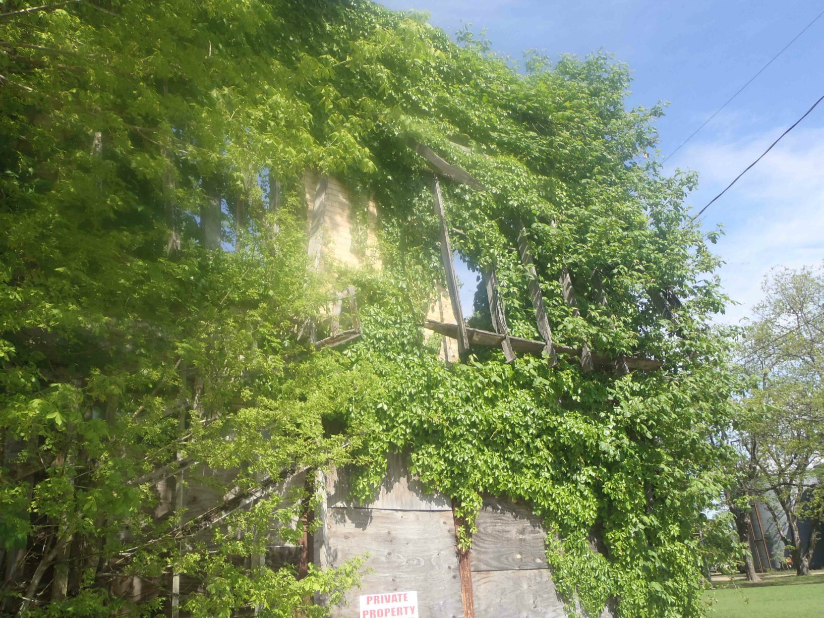 The ruins of Bryant's Grocery, Money, Leflore County, Mississippi. This was once the verandah on the front of the building.