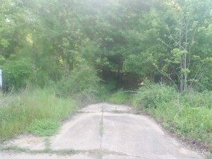 The old road on the east side of the present intersection of Highway 49E and Highway82, Leflore County, Mississippi, looking east.