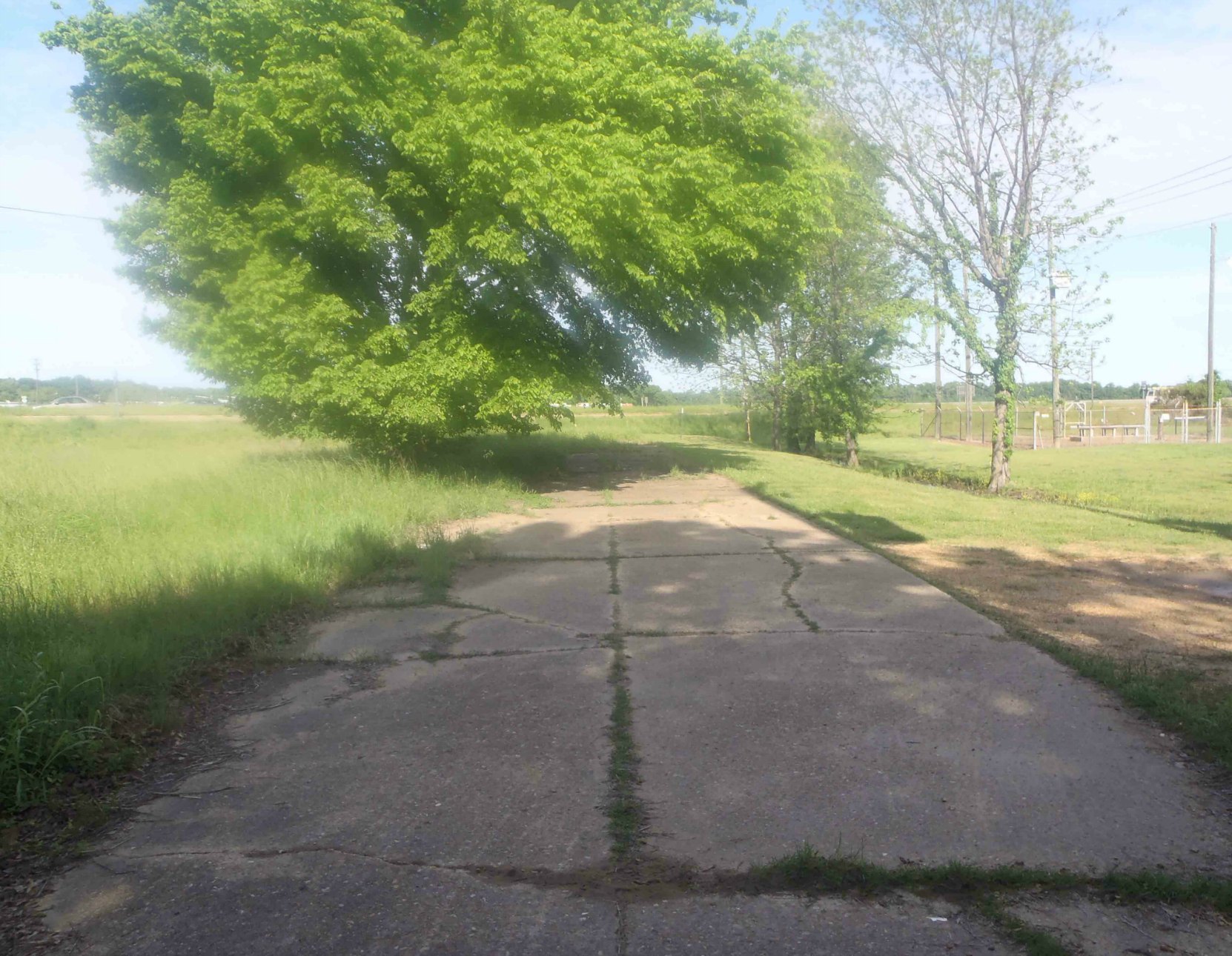 The old road on the east side of the present intersection of Highway 49E and Highway82, Leflore County, Mississippi, looking west.
