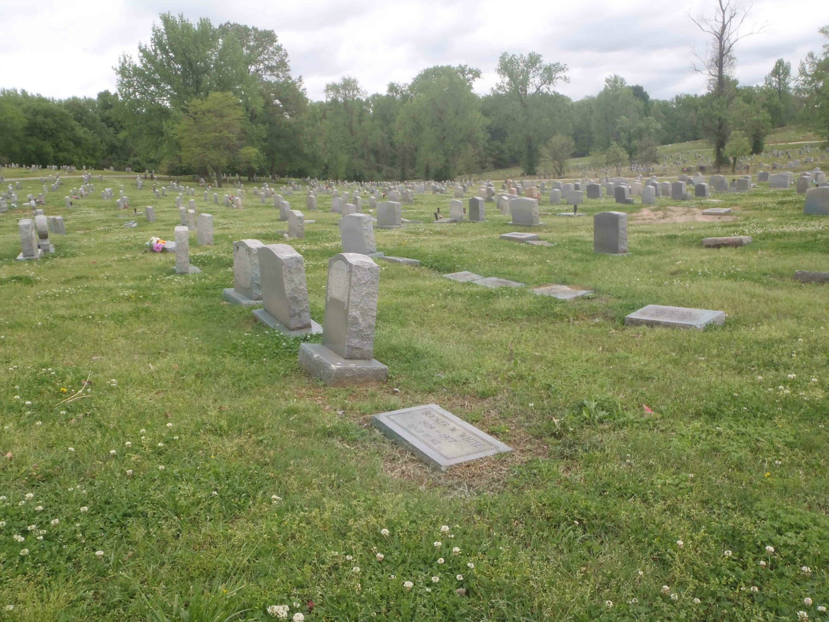 Booker "Bukka" White grave, New Park Cemetery, Memphis, Tennessee